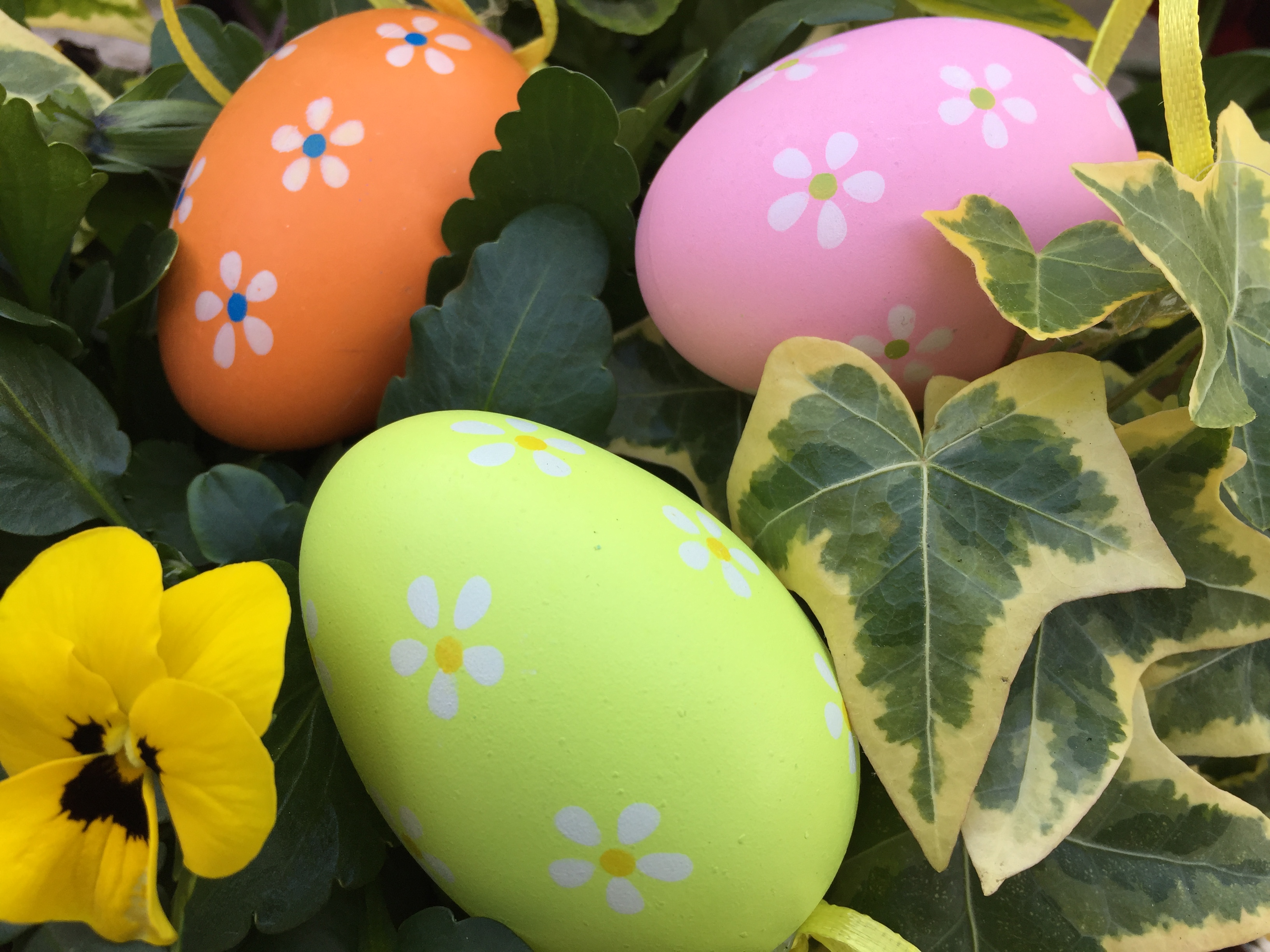 Easter decorations with eggs and spring flowers